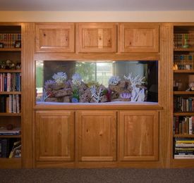 Cupboard Integrated Aquariums in Rawalpindi & Islamabad