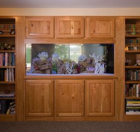 Cupboard Integrated Aquariums in Rawalpindi & Islamabad