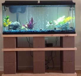 Decorated Aquariums in Rawalpindi & Islamabad