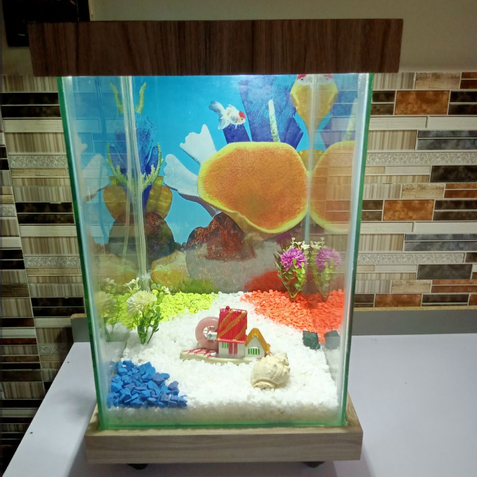 Beautiful Table Aquarium - Type 2 (1ft x 1ft x 1.5ft)