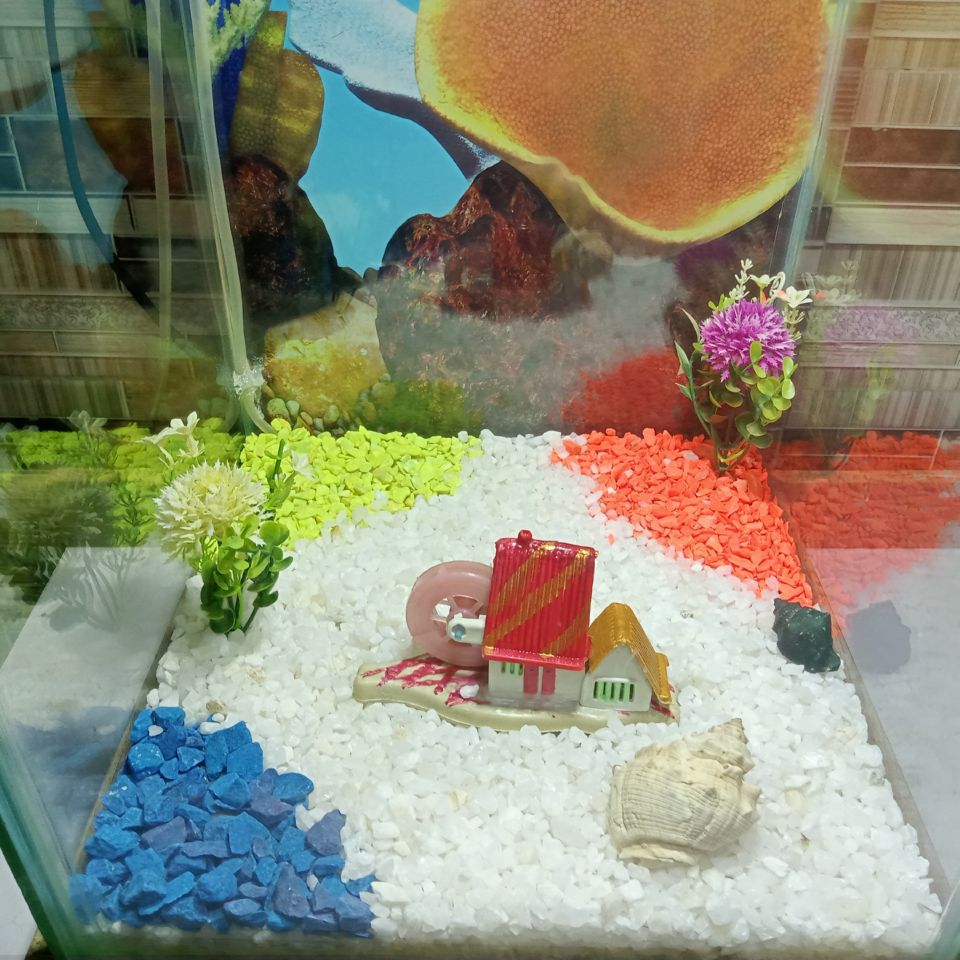 Beautiful Table Aquarium - Type 2 (1ft x 1ft x 1.5ft)