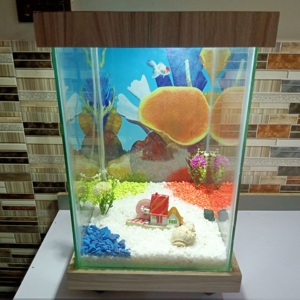 Beautiful Table Aquarium - Type 2 (1ft x 1ft x 1.5ft)