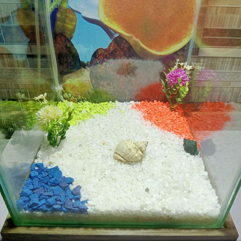 Beautiful Table Aquarium - Type 3 (1ft x 1ft x 1.5ft)