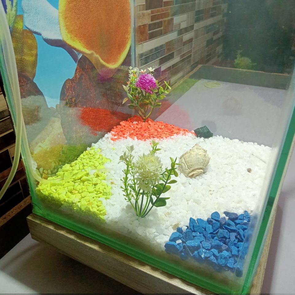 Beautiful Table Aquarium - Type 3 (1ft x 1ft x 1.5ft)