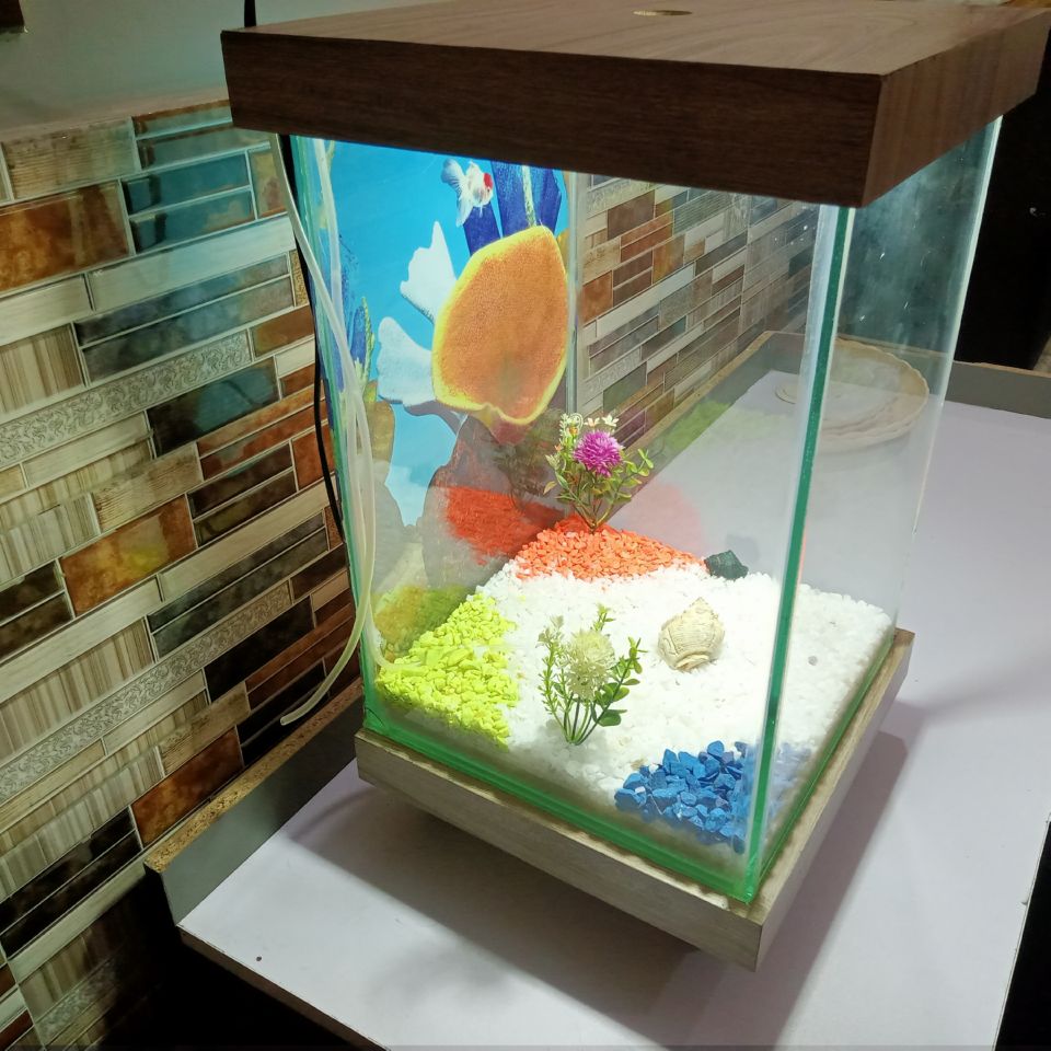 Beautiful Table Aquarium - Type 3 (1ft x 1ft x 1.5ft)