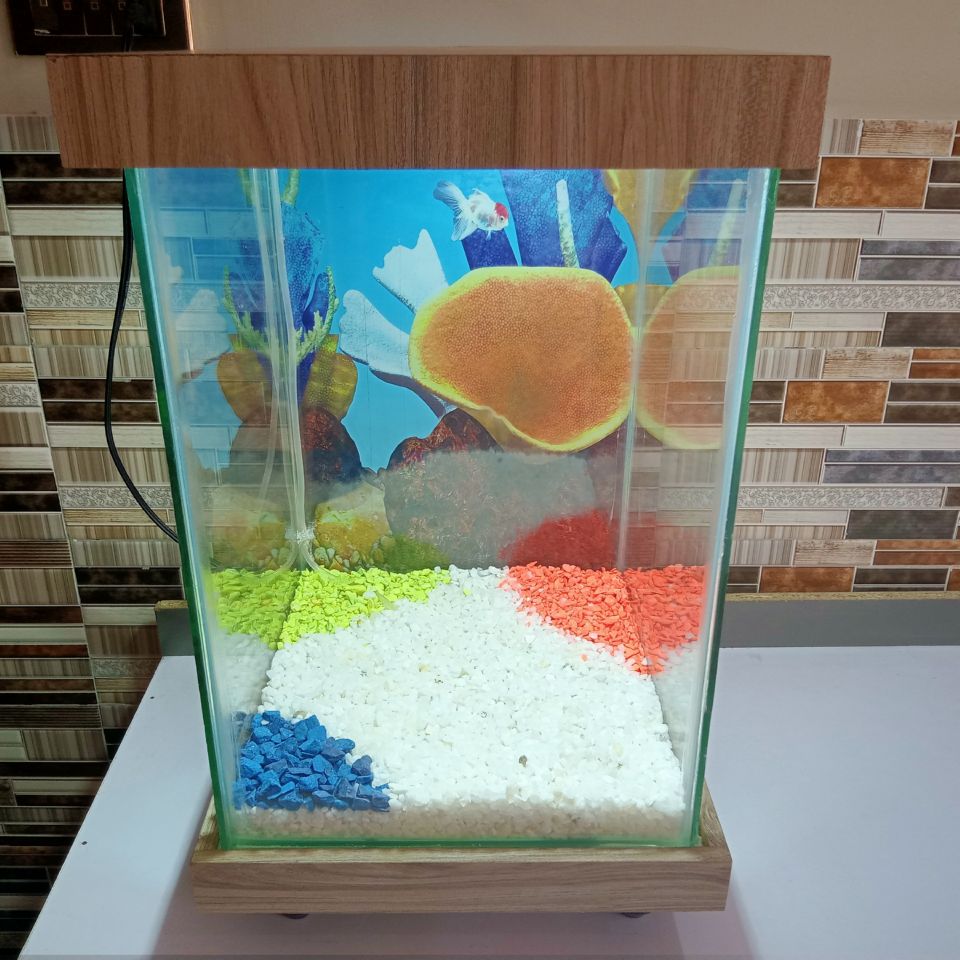 Beautiful Table Aquarium - Type 4 (1ft x 1ft x 1.5ft)