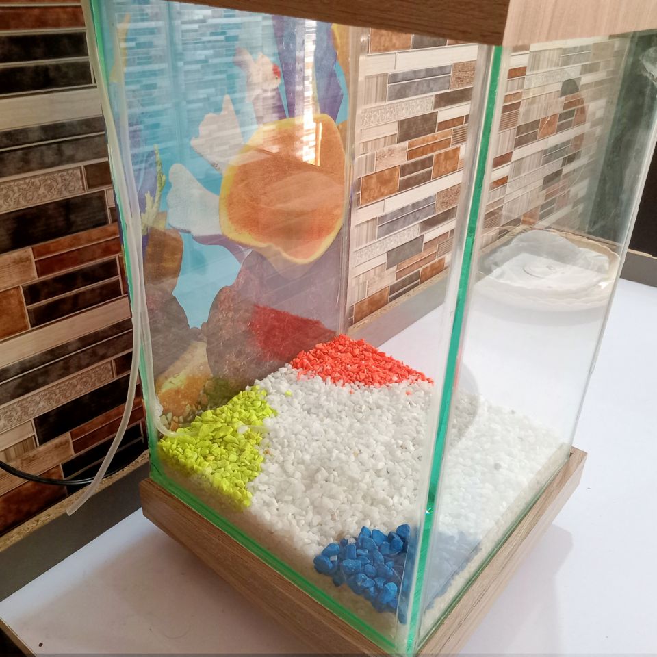 Beautiful Table Aquarium - Type 4 (1ft x 1ft x 1.5ft)