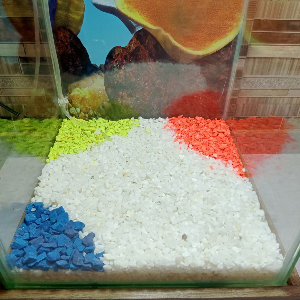 Beautiful Table Aquarium - Type 4 (1ft x 1ft x 1.5ft)