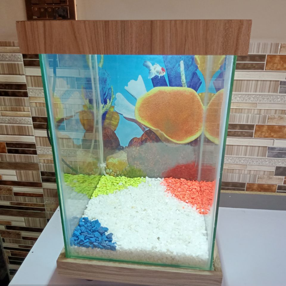 Beautiful Table Aquarium - Type 4 (1ft x 1ft x 1.5ft)