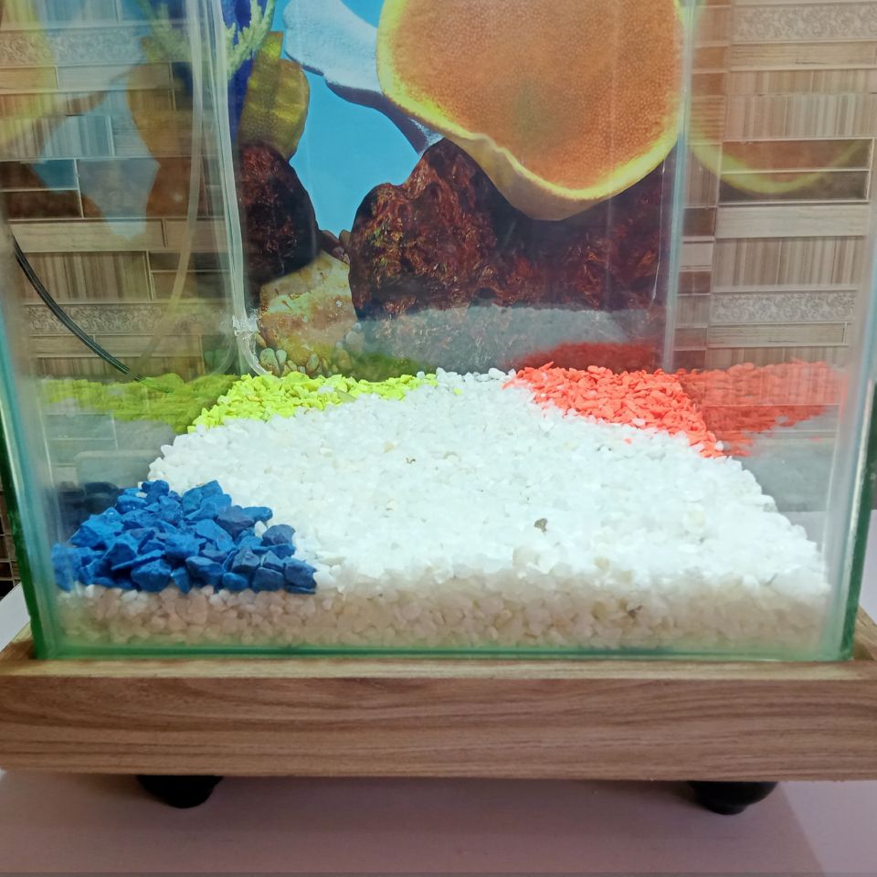 Beautiful Table Aquarium - Type 4 (1ft x 1ft x 1.5ft)