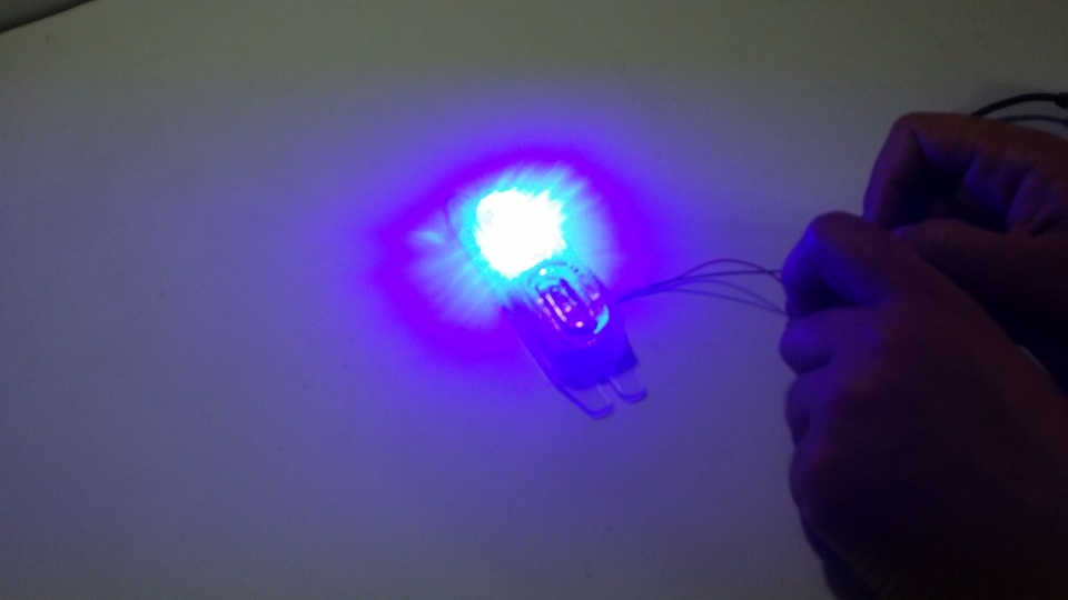 Red Blue Blinking Dolphin Lights - Small