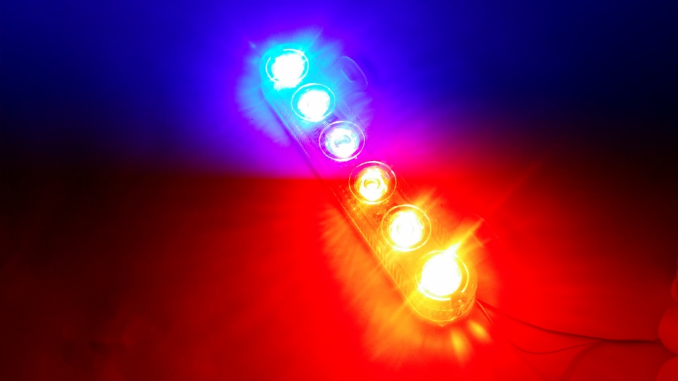 Red Blue Blinking Dolphin Lights - Large