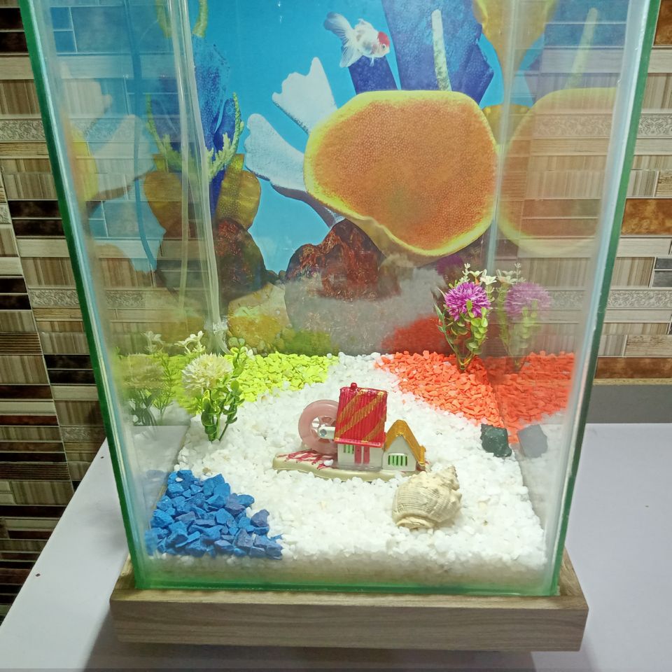 Beautiful Table Aquarium (1ft x 1ft x 1.5ft) 