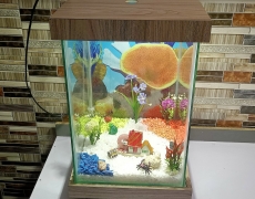 Beautiful Table Aquarium - Type 1 (1ft x 1ft x 1.5ft)
