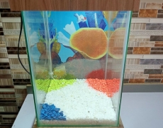 Beautiful Table Aquarium - Type 4 (1ft x 1ft x 1.5ft)