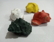 Beautiful Colored Shells for Aquariums - 8 Pieces