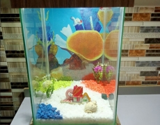 Beautiful Table Aquarium (1ft x 1ft x 1.5ft) 